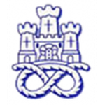 Newcastle Town crest